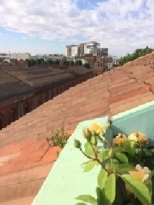 Mansardina Boheme Tra Il Duomo E L'Universita Milán 0*,